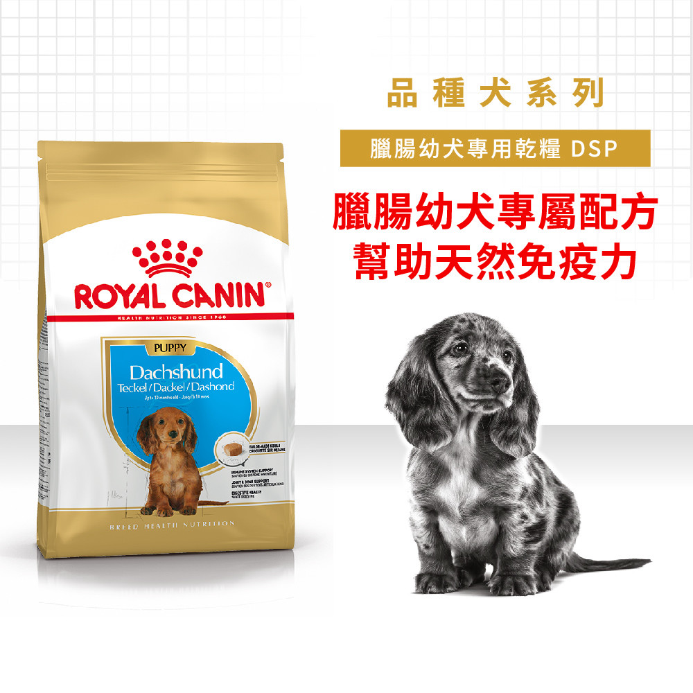 法國皇家Royal Canin】(PRDJ30 /DSP) 臘腸幼犬1.5公斤(狗飼料)