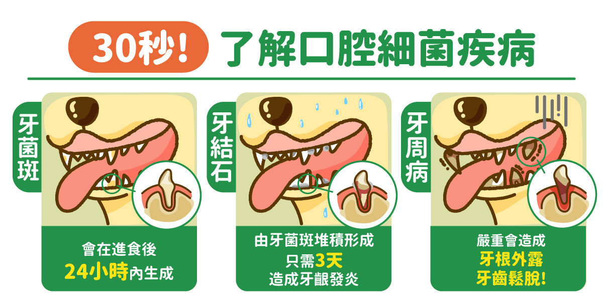 口腔細菌疾病