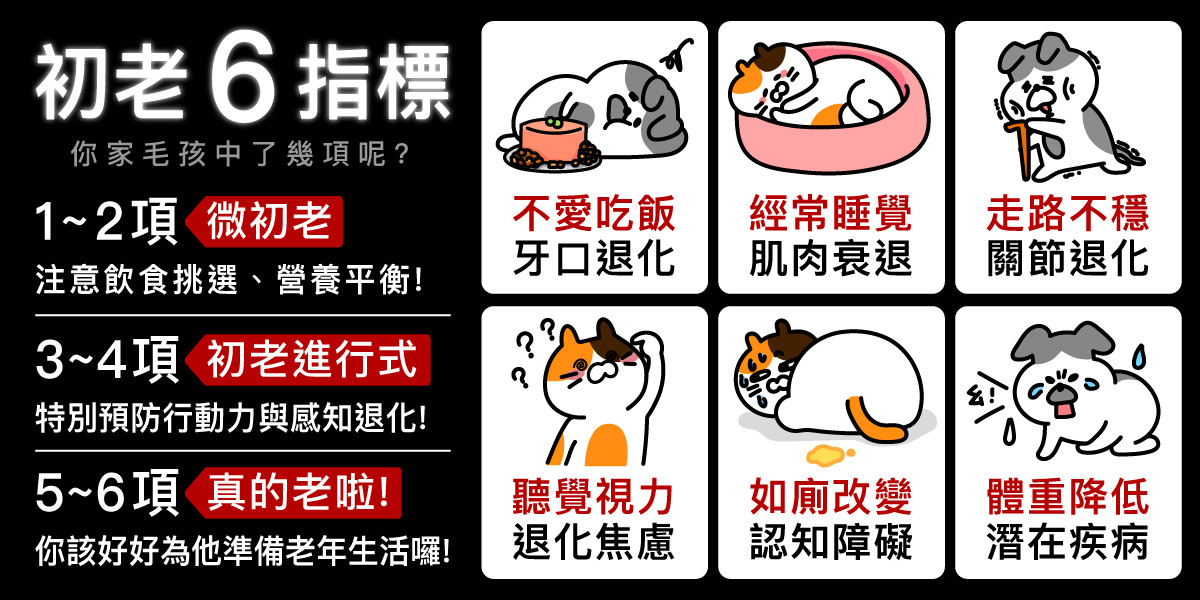 初老6指標