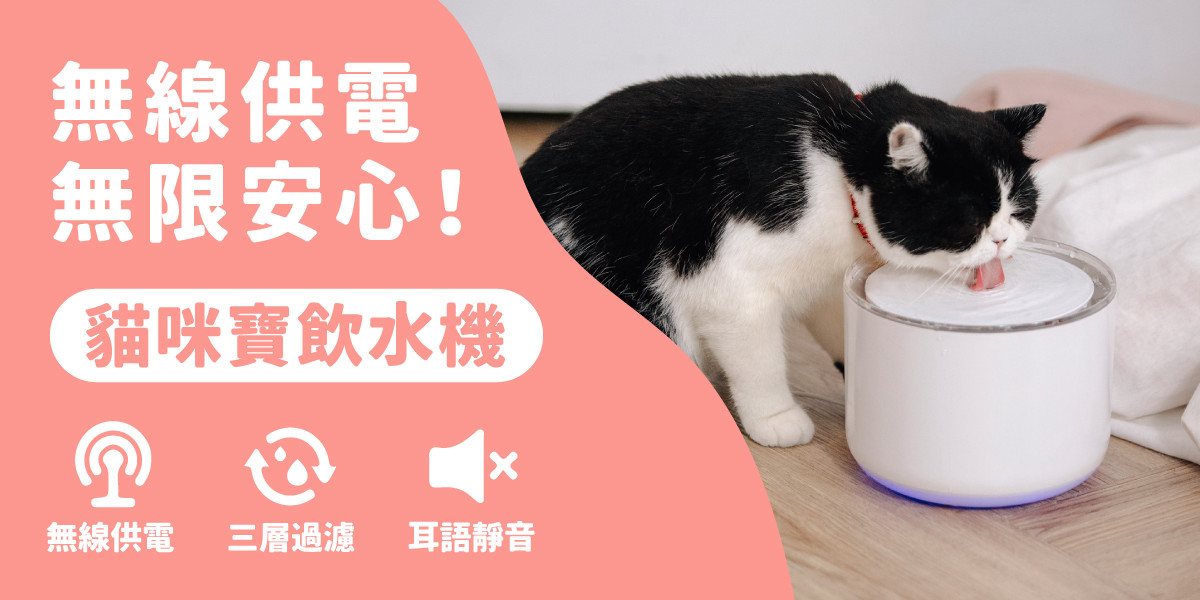 貓咪寶飲水機