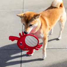 克勞佛螃蟹玩具(24x19公分)(狗玩具)