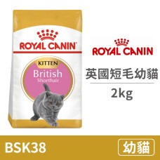 FBN 皇家英國短毛幼貓BSK38 2公斤(貓飼料)
