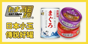 小玉貓罐