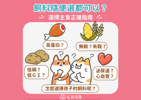 主食怎麼選?狗貓飼料挑選指南!