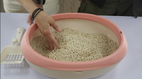 號稱可沖馬桶的「豆腐砂」是什麼?所有優缺