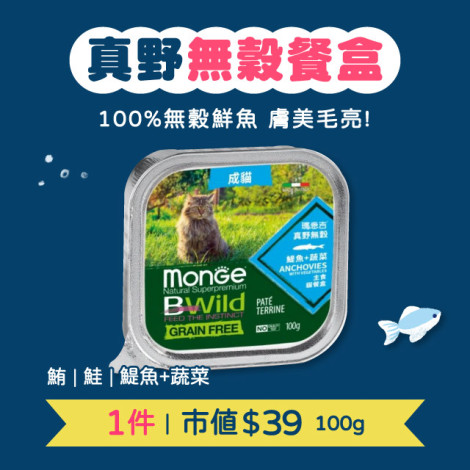 【掃盒外再領$80折價券!】擠爆沙丁魚來襲!是誰住在深海寶盒裡?7月【貓咪】12件喔伊Sea澎湃零食盒  貓咪肉泥零食罐頭推薦組合,bd_新品,bd_熱銷,bd_熱銷_組合商品,bd_熱銷貓用品,bd_熱銷貓玩具_新客,bd_熱銷貓抓板_新客,bd_熱銷貓零食_新客