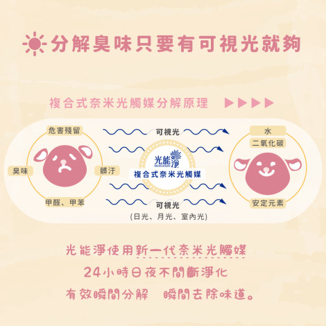 貓咪瞬效去味除菌噴霧 無味300ml,bd_新品_20231019