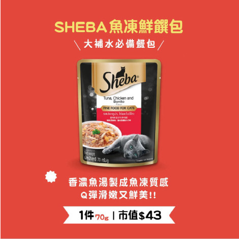 【打拳自HIGH神器帶回家!】屁孩童樂會 越吃越玩越聰明10件組! 【貓咪】澎湃零食盒 貓咪肉泥零食罐頭罐罐推薦組合,bd_熱銷貓用品,FB_貓熱銷品,bd_熱銷,bd_熱銷貓零食_新客,bd_熱銷貓玩具_新客,bd_熱銷貓咪清潔用品_新客,PD_零食_20230508